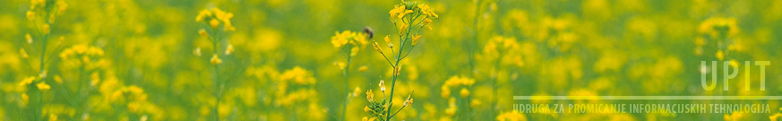 header_4.jpg